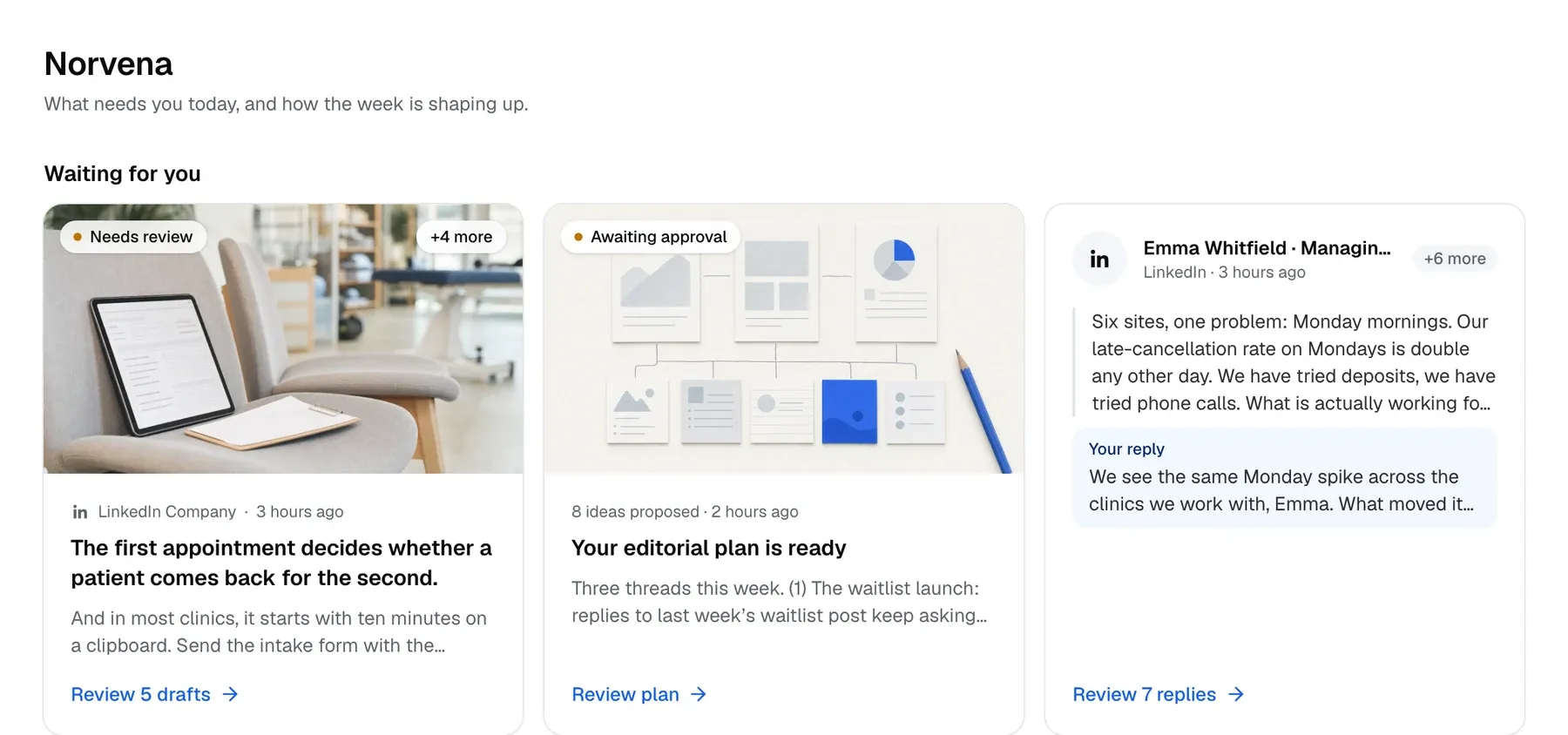 Rondo's Today screen for a brand: drafts, an editorial plan and replies waiting as cards, thirty days of views, the month's published and scheduled posts, and a topic insight.